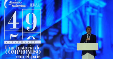 Luis Caputo, Economía, Fundación Mediterránea