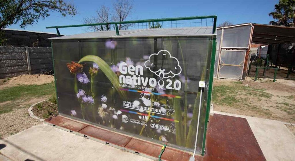 Córdoba, Gen Nativo