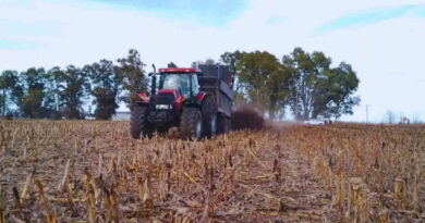 Estiércol, cultivos