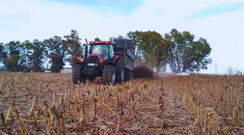 Estiércol, cultivos