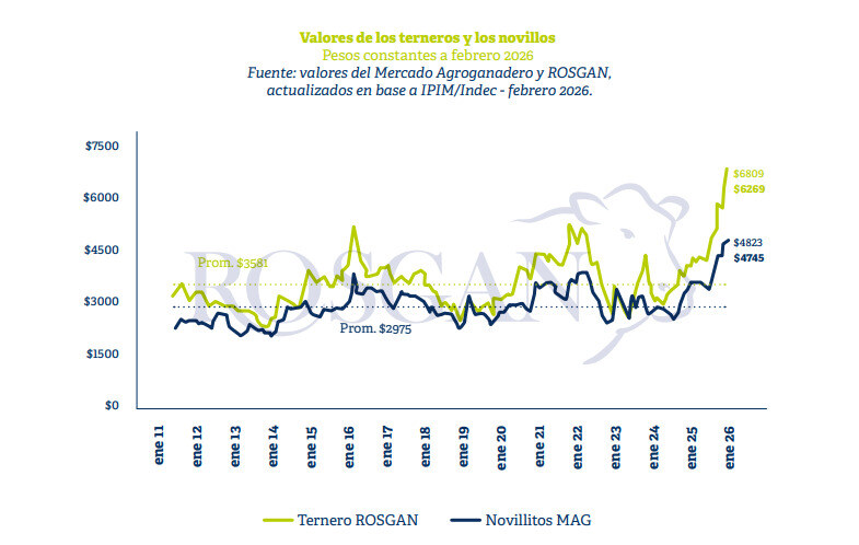Ganadería, terneros