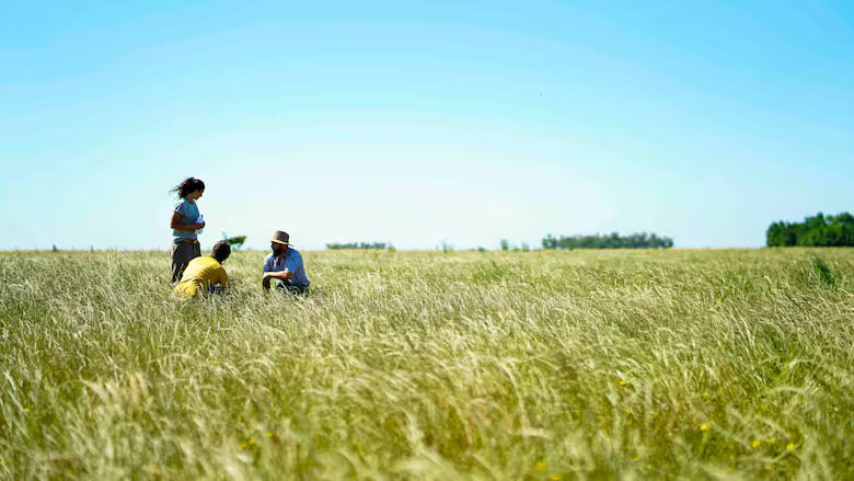 Ganadería regenerativa