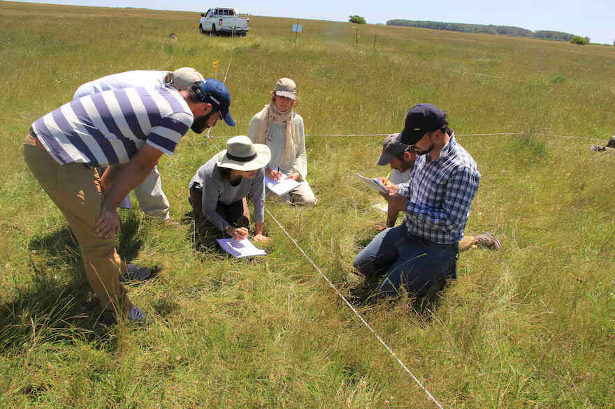 Ganadería regenerativa