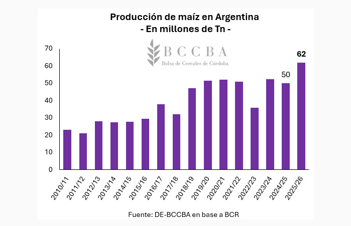 Maíz, Argentina