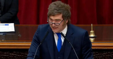 Javier Milei, Congreso