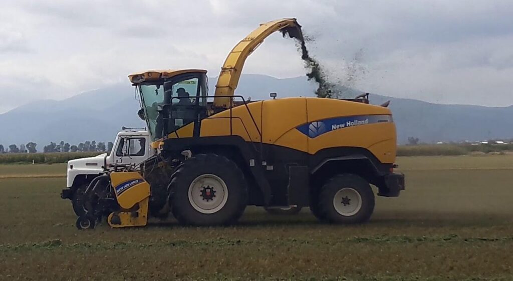 Picadora, New Holland, Maquinaria Agrícola