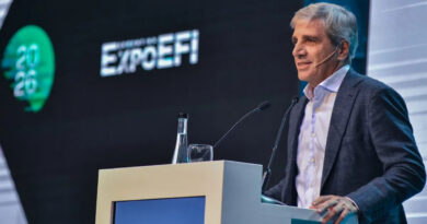 Luis Caputo, Economía