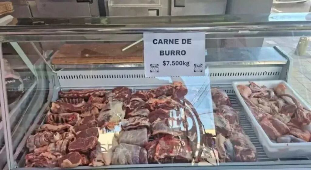 Carne de burro