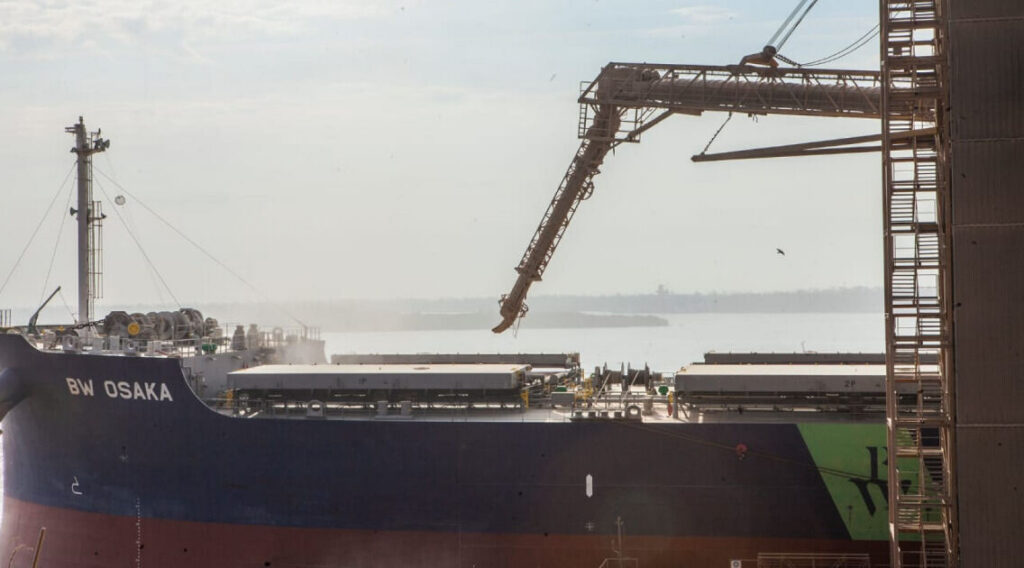 China, girasol, exportaciones, barco