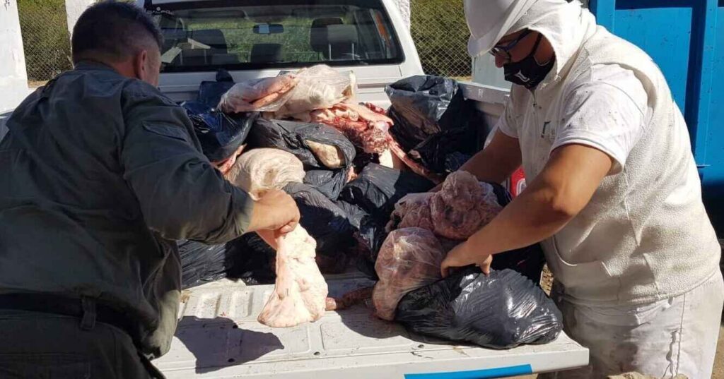 Córdoba, faena clandestina, carne