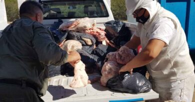 Córdoba, faena clandestina, carne