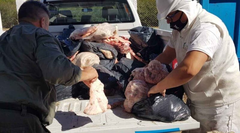 Córdoba, faena clandestina, carne