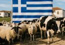Grecia, fiebre aftosa, ganadería