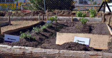 Huerta Urbana Bonaerense