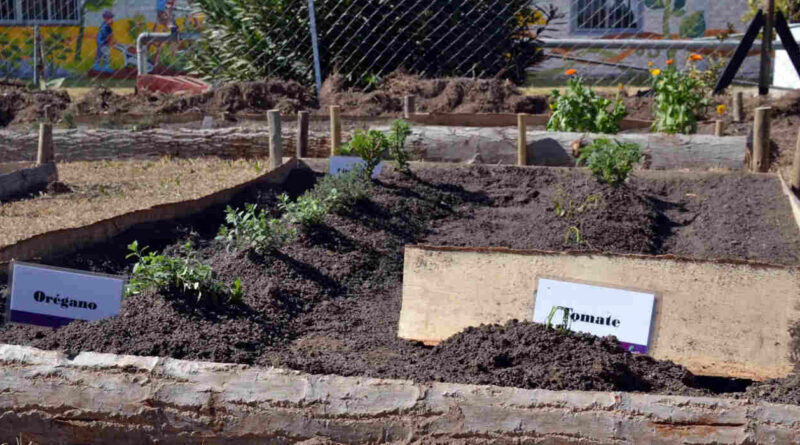 Huerta Urbana Bonaerense