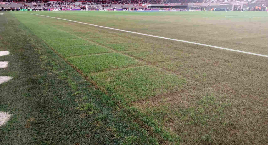 Monumental, campo, Superclásico
