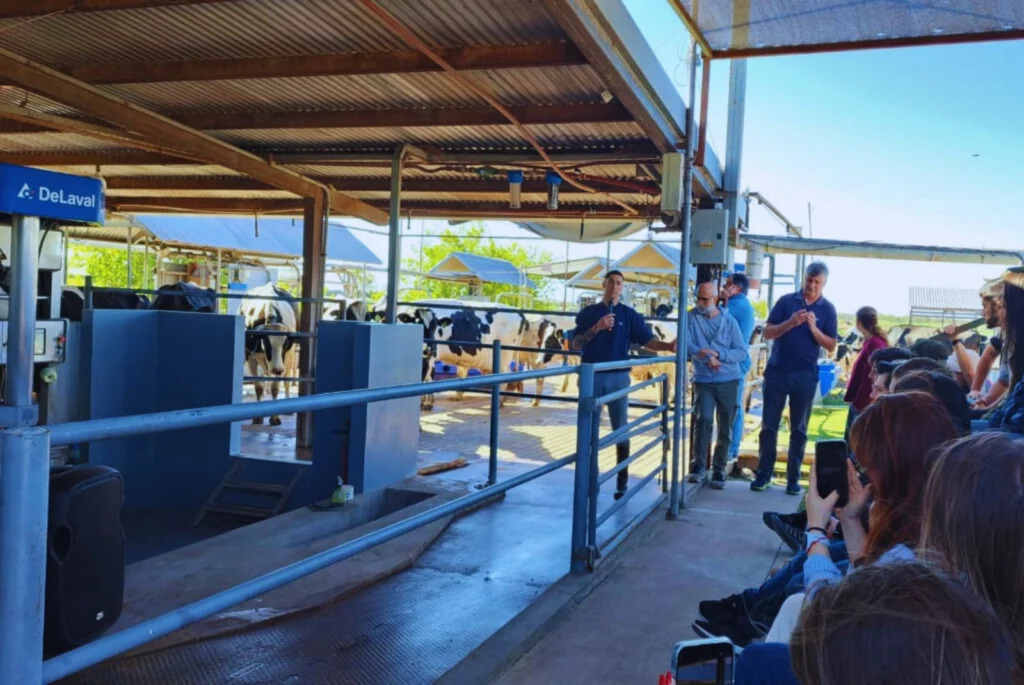 Tambo, producción de leche, robots