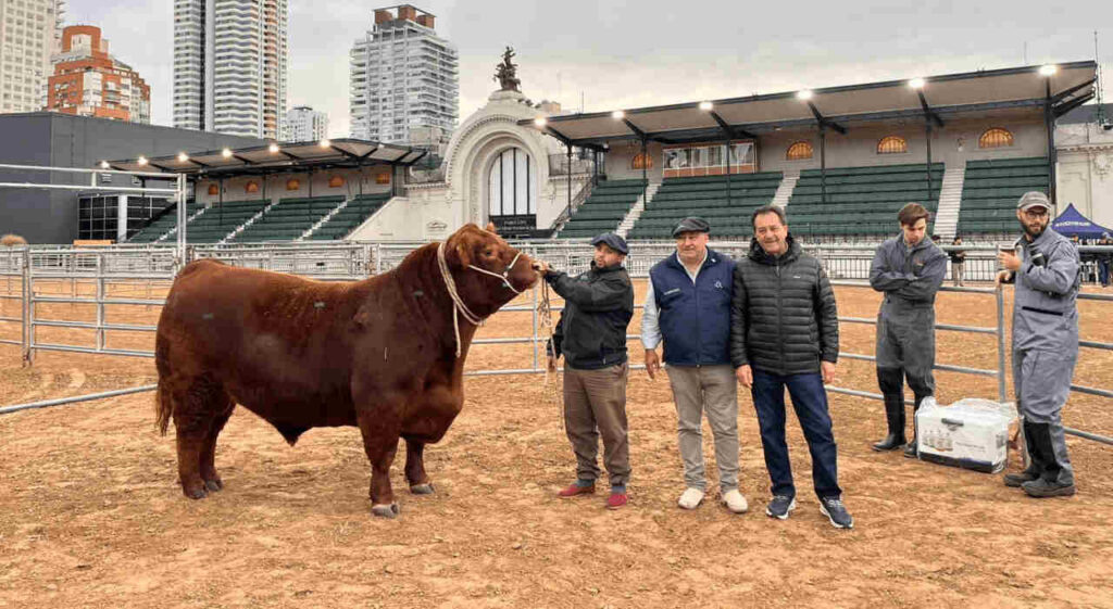 Angus, Ganadería, Expo Angus 2026, Paulino