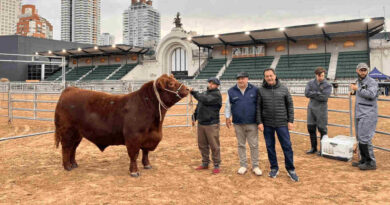 Angus, Ganadería, Expo Angus 2026, Paulino