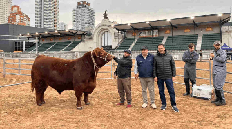 Angus, Ganadería, Expo Angus 2026, Paulino