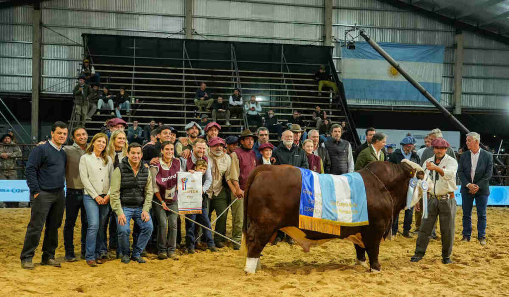 Braford, Las Nacionales 2026