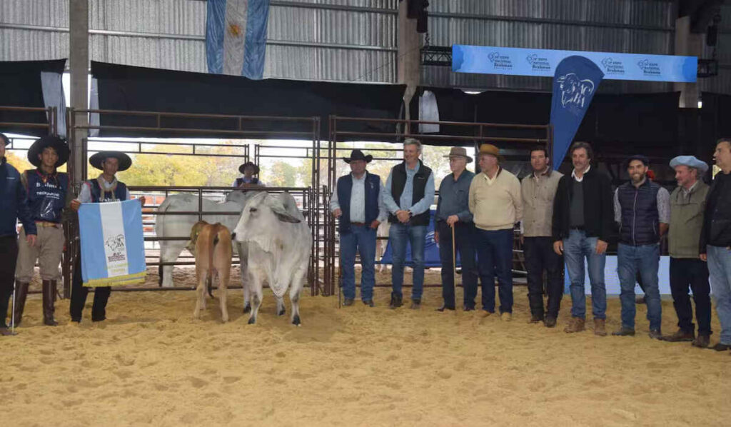 Brahman, Las Nacionales 2026