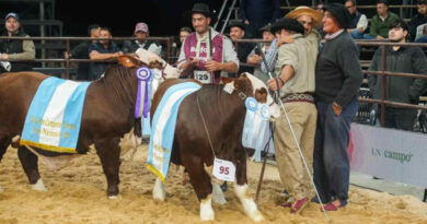 Brahman, Las Nacionales 2026, Remate, Toro