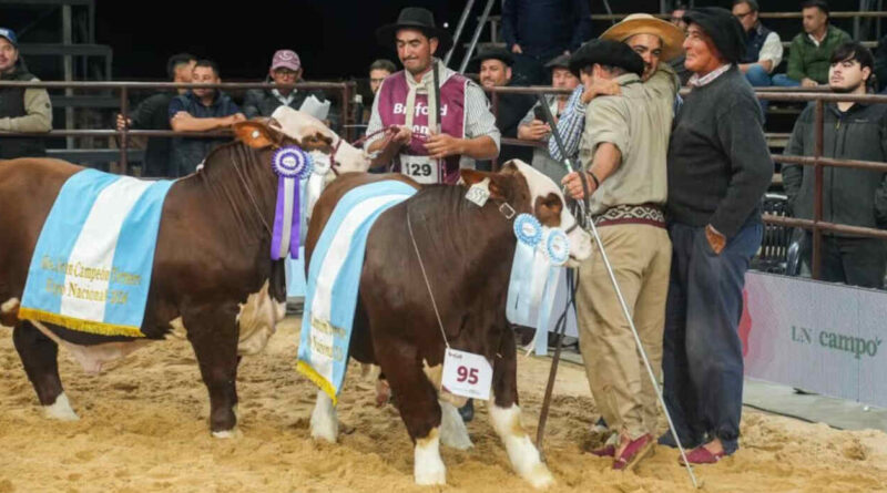 Brahman, Las Nacionales 2026, Remate, Toro