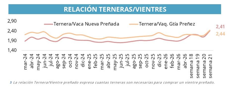 Cría, terneras, vientres