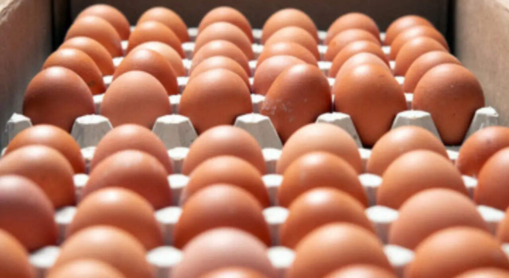 Huevos