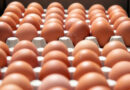 Huevos