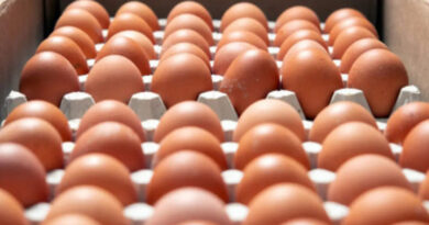 Huevos