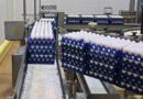 Huevos, exportaciones