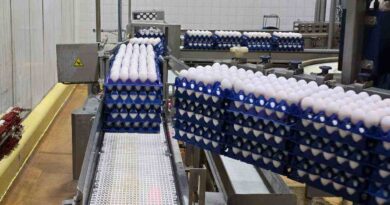 Huevos, exportaciones