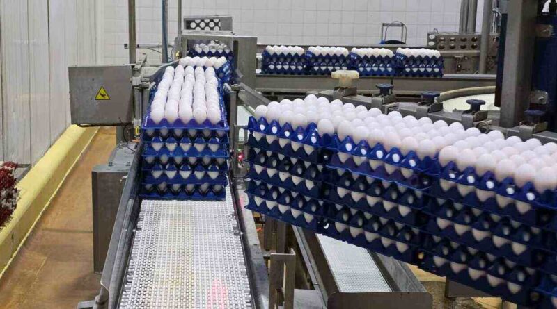 Huevos, exportaciones