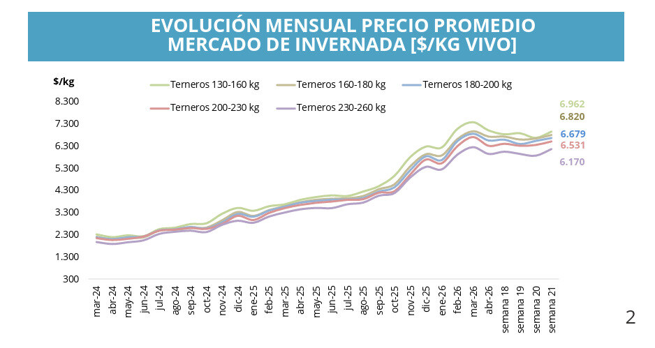Invernada, Ganadería