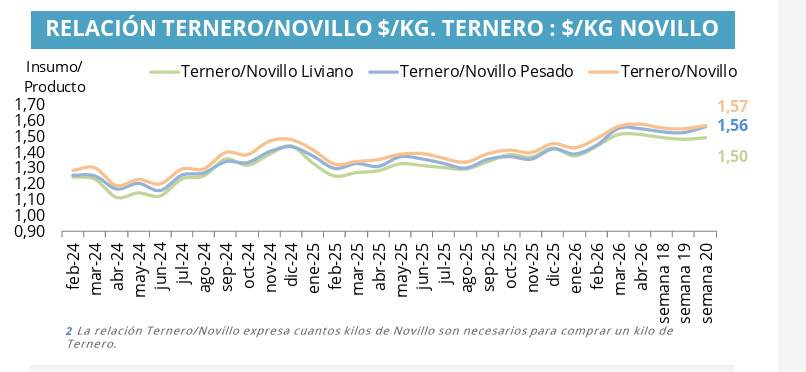 Mercado de Invernada, Ternero, Novillo