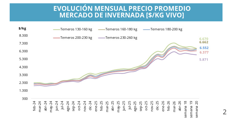 Mercado de Invernada