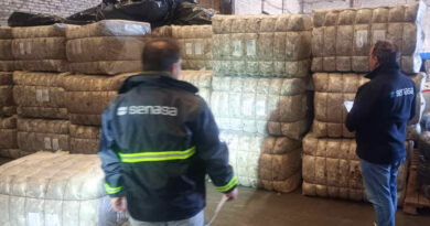 Lana Sucia, exportación, Senasa