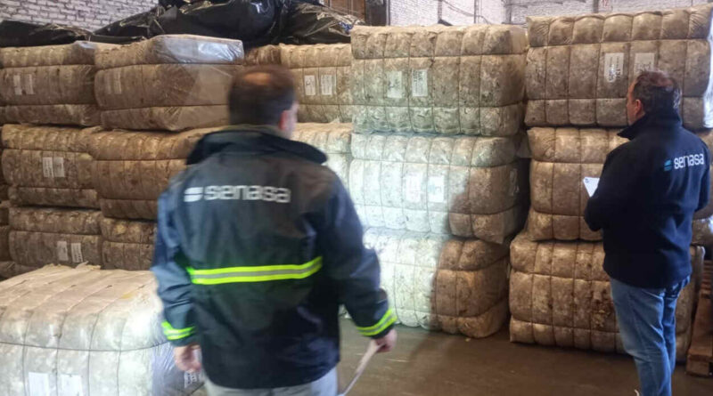 Lana Sucia, exportación, Senasa