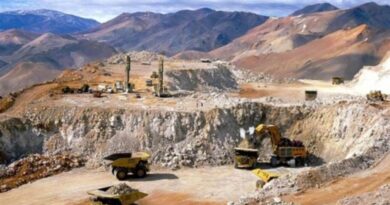 RIGI, Minería, Cobre, Mendoza