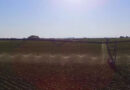 Riego, Agricultura