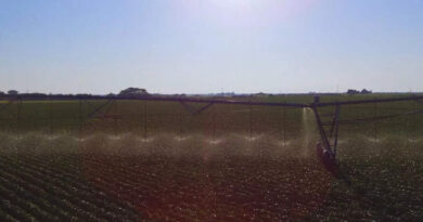 Riego, Agricultura