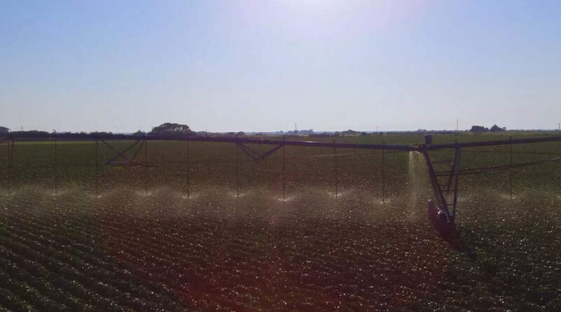 Riego, Agricultura