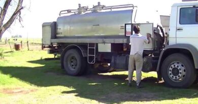 Transporte de leche, flete lechero