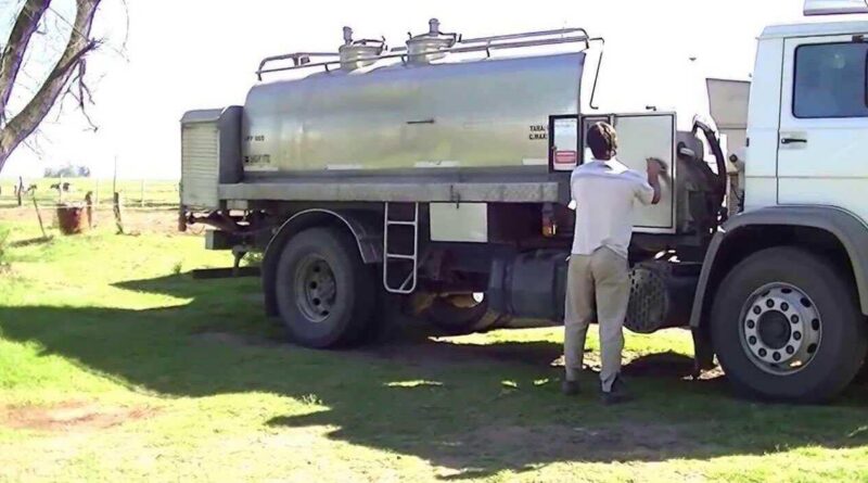 Transporte de leche, flete lechero