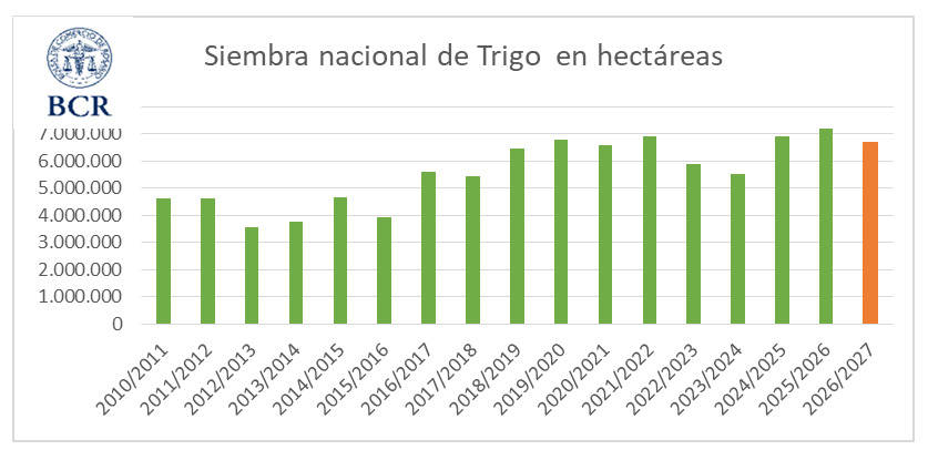 Trigo, Siembra