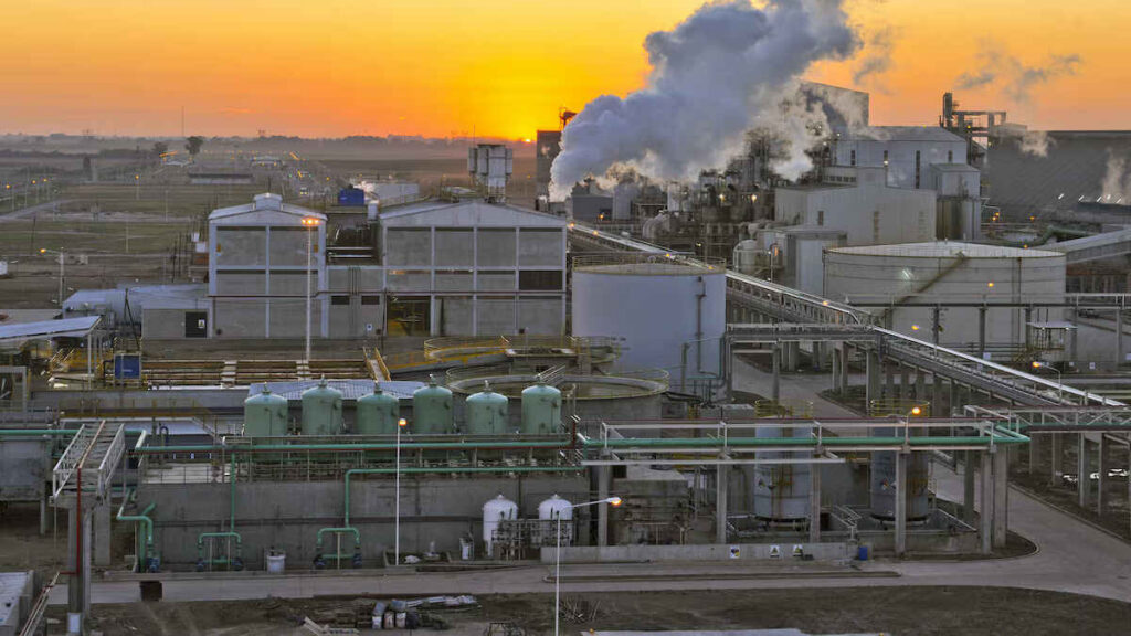 Paro de Aceiteros, Planta, Industria