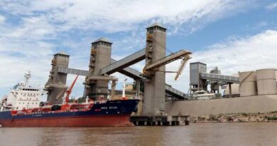 Paro de Aceiteros, Rosario, Puerto, exportaciones, comercio