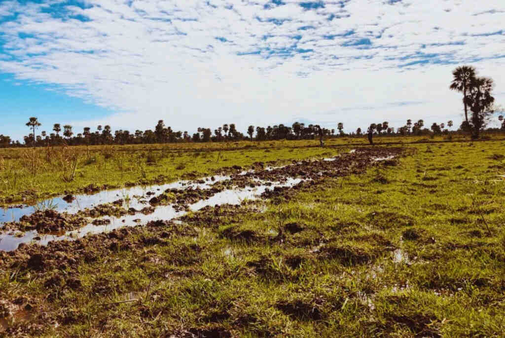 agua, Formosa